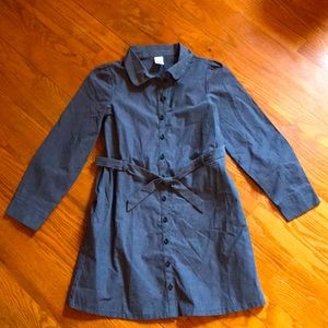Gymboree Collared Long Sleeve Dress